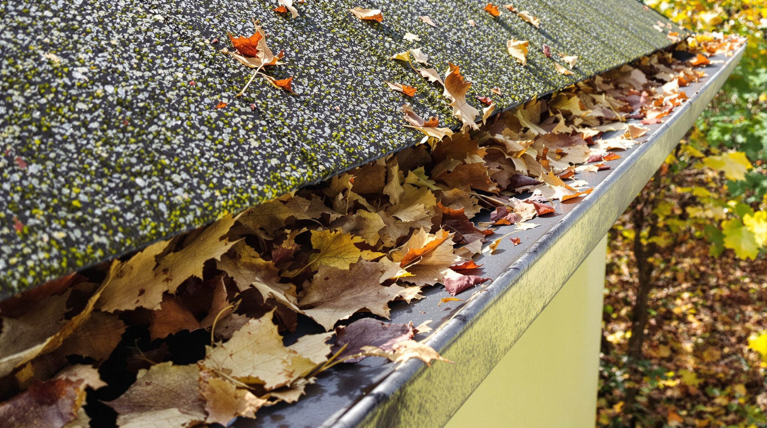 Installed gutter guard